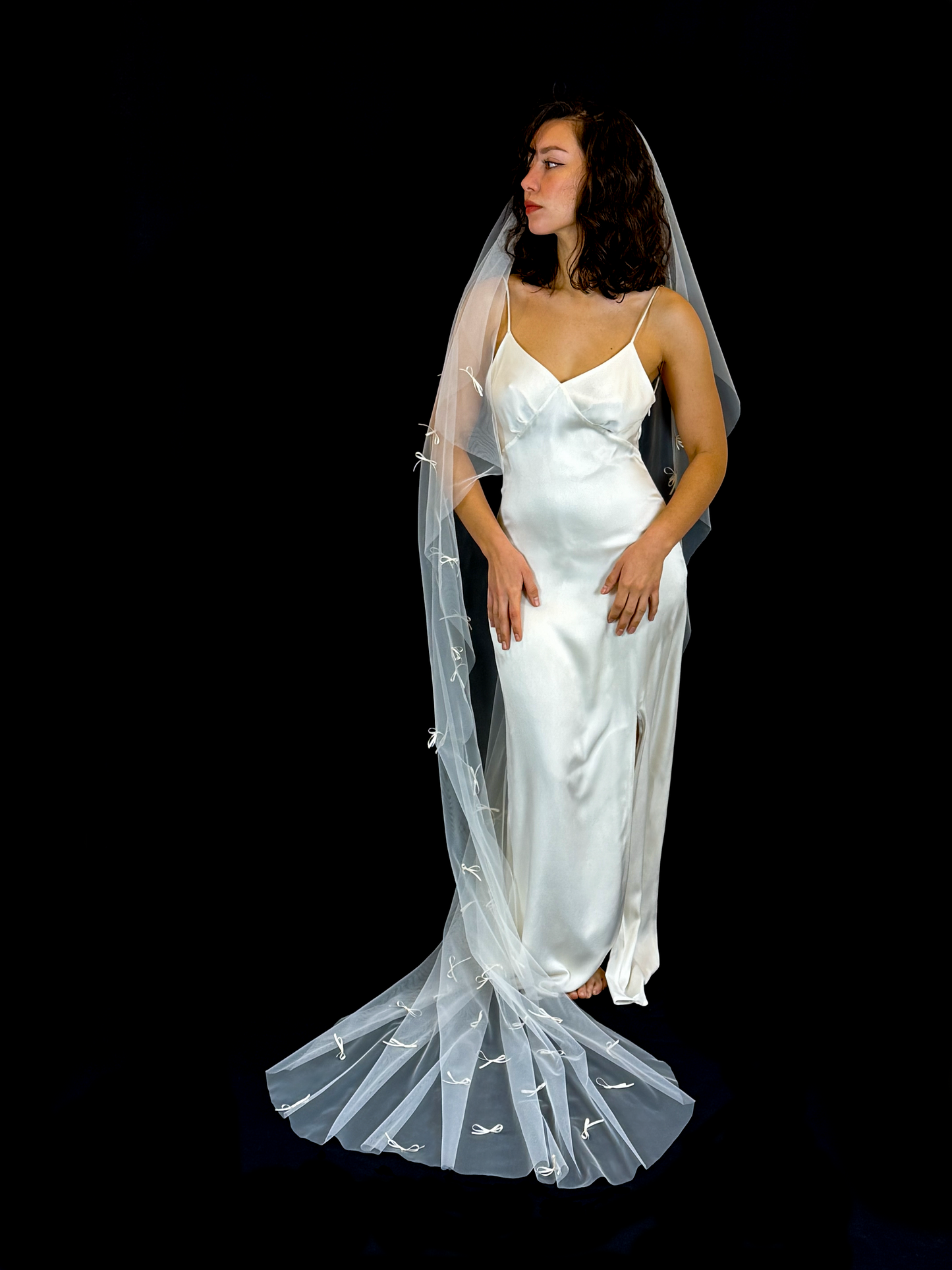 Michelle P. Veil