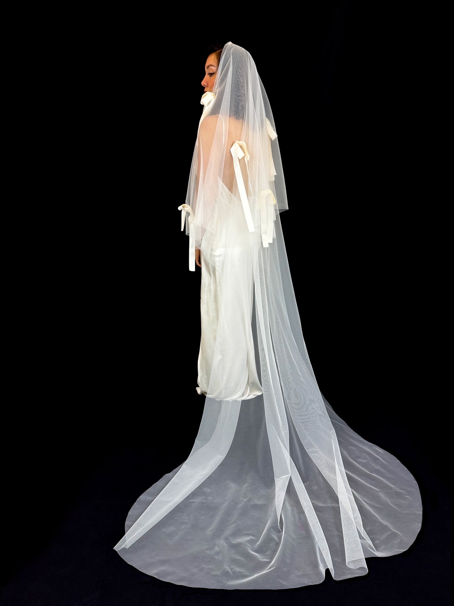 Cate B. Veil