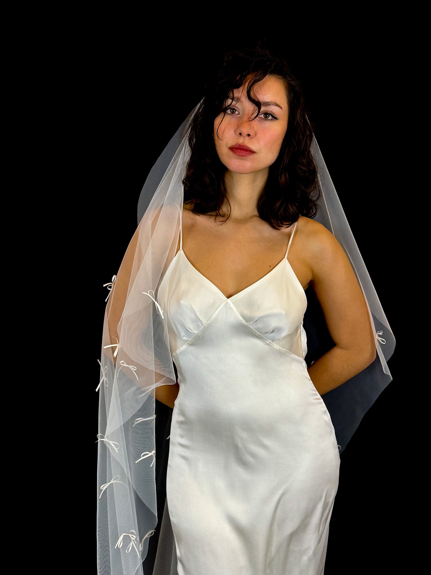Michelle P. Veil