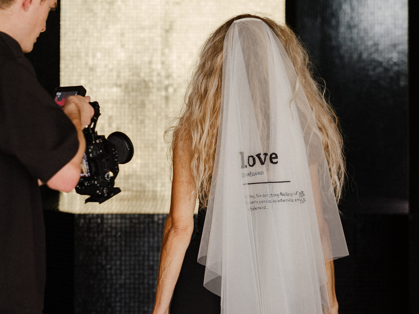 Definition Veil