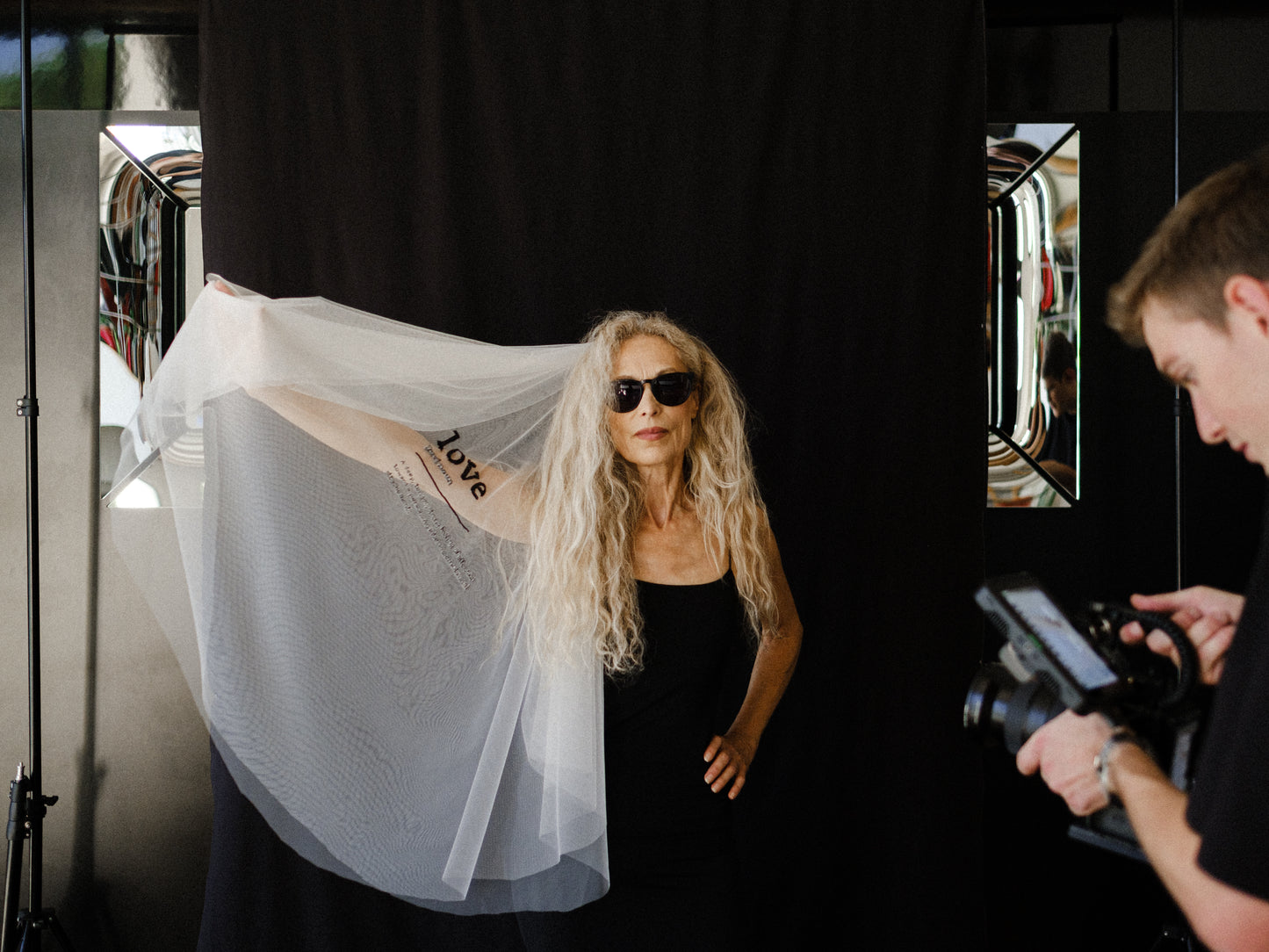 Definition Veil