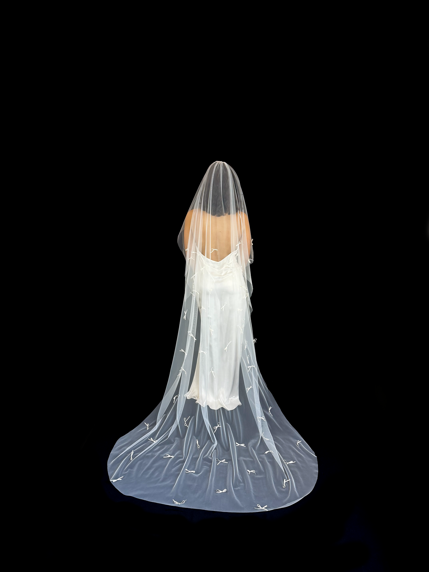 Michelle P. Veil