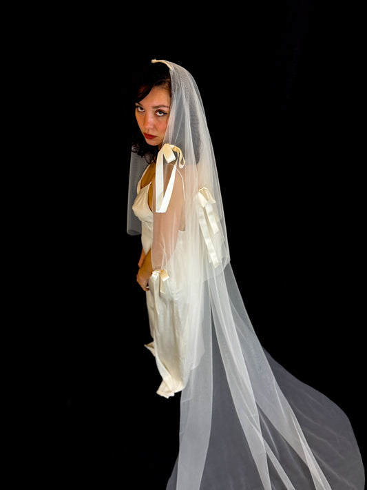 Cate B. Veil
